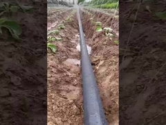 스프레이 테이프